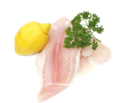Pangasius