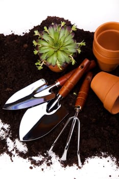 Garden concept