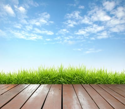 wooden terrace with fresh spring green grass and blue sky