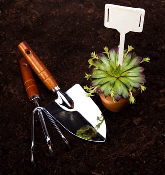 Garden concept