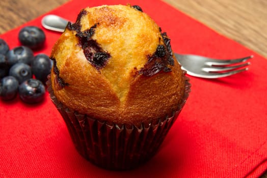 Home made chocolate chip muffin with blueberry