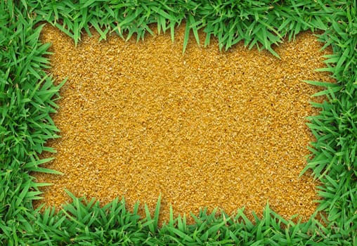 Fresh green grass on sand