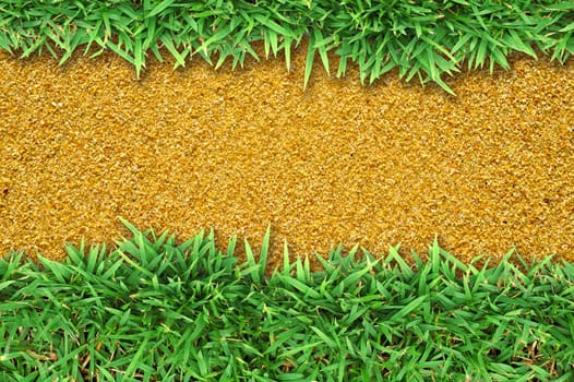 Fresh green grass on sand