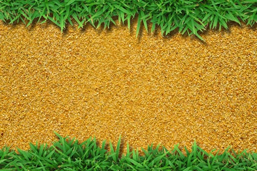 Fresh green grass on sand