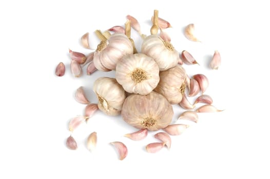 garlic isolated on white background