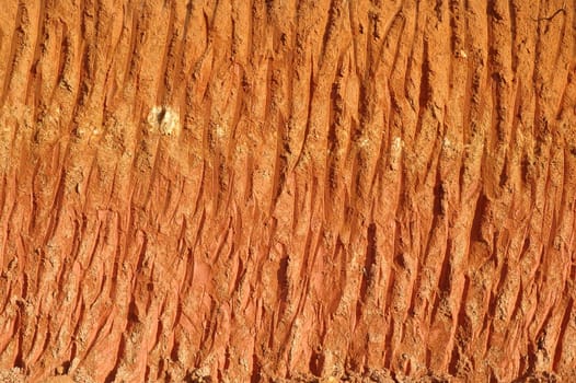 textured of land section