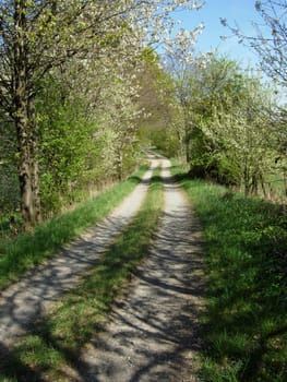 Spring in Lipperland