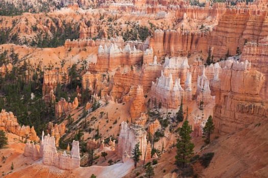 Bryce canyon national park in Utah  - USA