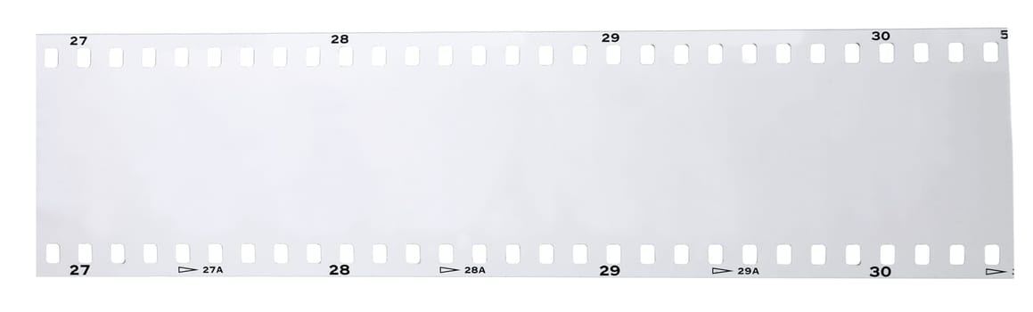 Black and White Negative strip on white background