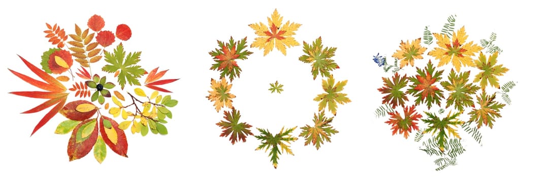 Collage autumn sheet put by pattern on white background. It Is Collected from several pictures