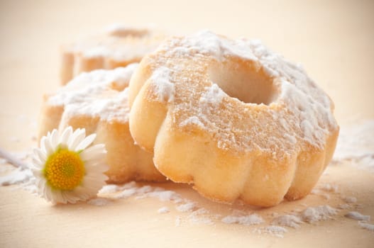 canestrelli biscuit on wood table