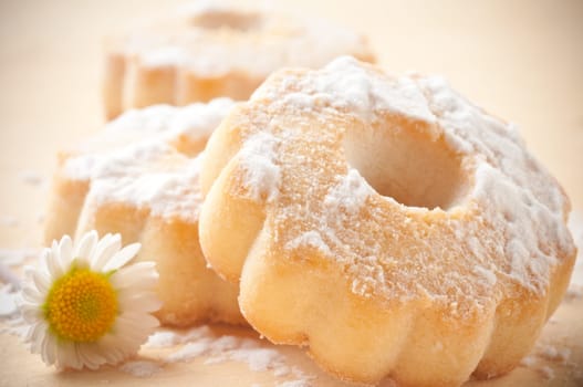 canestrelli biscuit on wood table