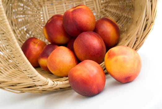 Peaches 02