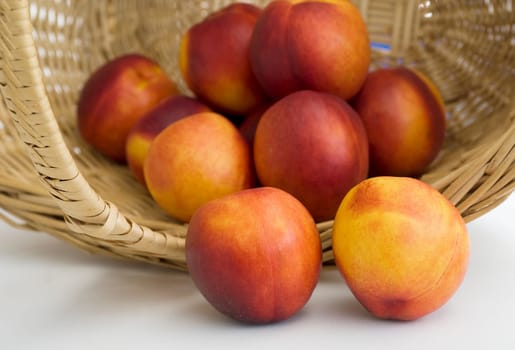 Peaches 03