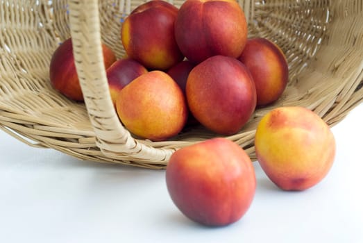 Peaches 06