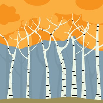 Romantic birch forest background, graphic art