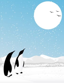 Winter scene with two penguins watching flying birds.