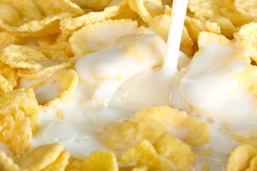 milk pouring on a nutritious and delicious corn flake cereal