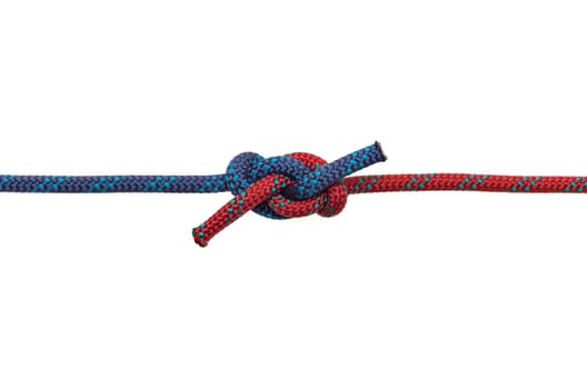 Ashley Knot