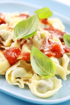 Small tortellini with tomato sauce and cheese, fresh basil