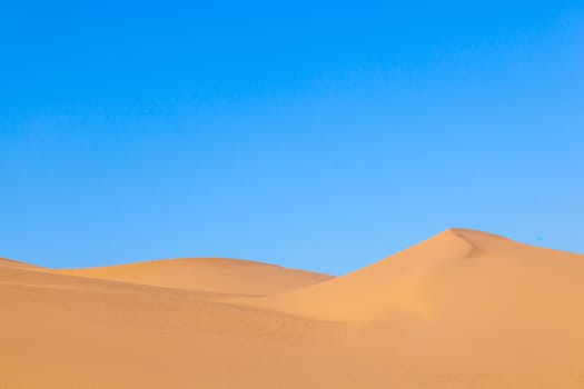 beautiful sand dune in sunrise in the desert