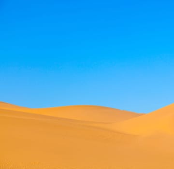 beautiful sand dune in sunrise in the desert