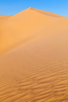 beautiful sand dune in sunrise in the desert