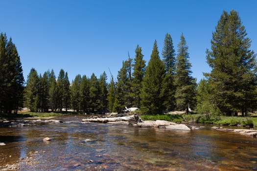 Yosemite national park in California - USA
