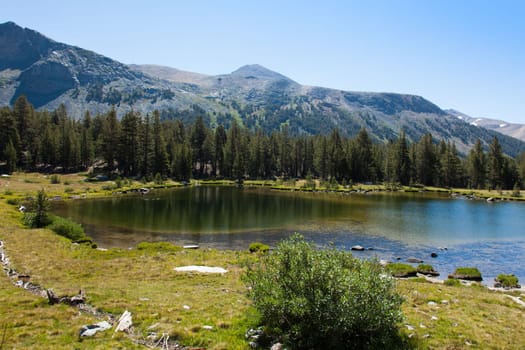 Yosemite national park in California - USA