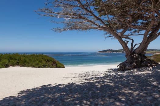 Carmel beach in Carmel, California - USA
