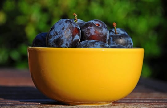fresh plums