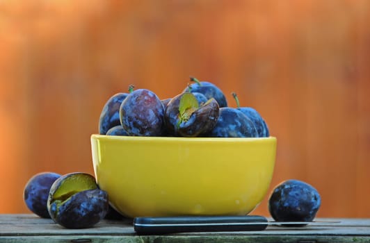 fresh plums