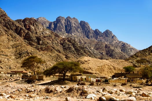 Bedouin settlement in Wadi Feiran