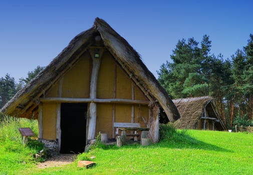 Stone Age village