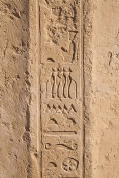 Old egypt hieroglyphs carved on the stone. Vertically. (Egypt)