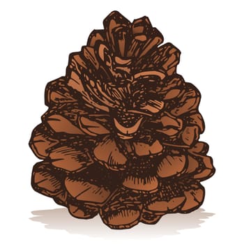 Pinecone icon isolated on white background sketch style
