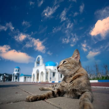 Greek Architecture with bule sky with a cat behind it
