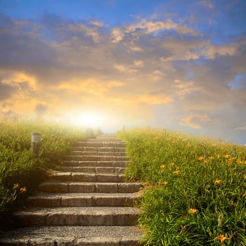 Mountain flower meadow with Ladder in background