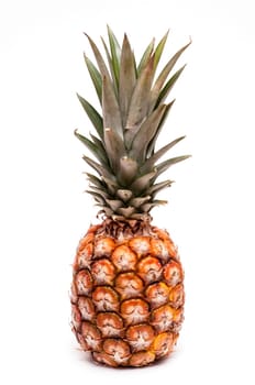 Little dwarf gananas in front of white background