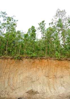 land section