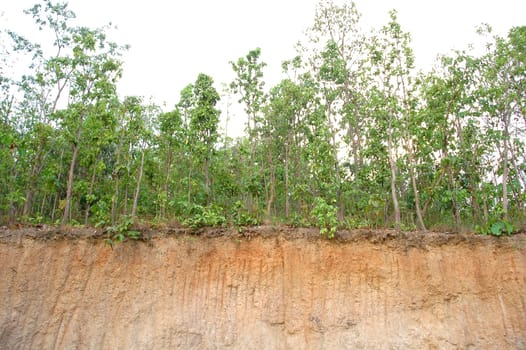 land section