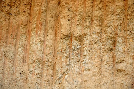 land section