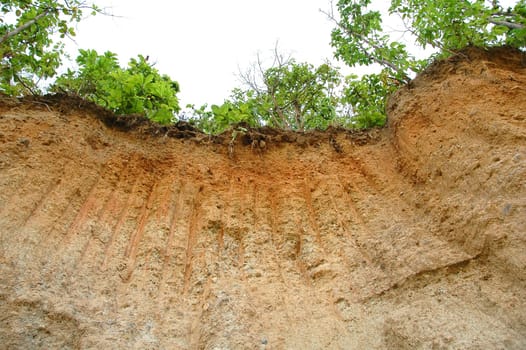 land section