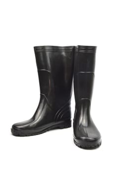 gum boots, photo on the white background
