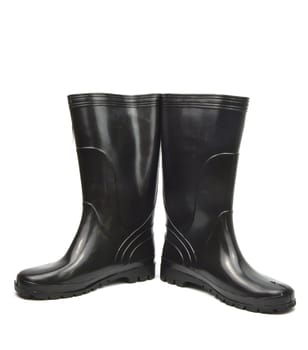 gum boots, photo on the white background