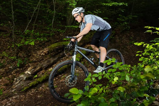 Mountain bikers in downhill