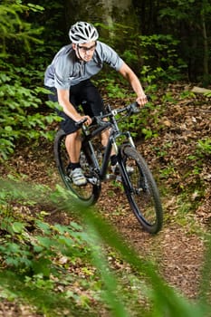 Mountain bikers in downhill