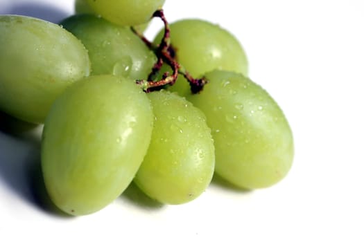 fresh green grapes