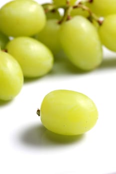 fresh green grapes