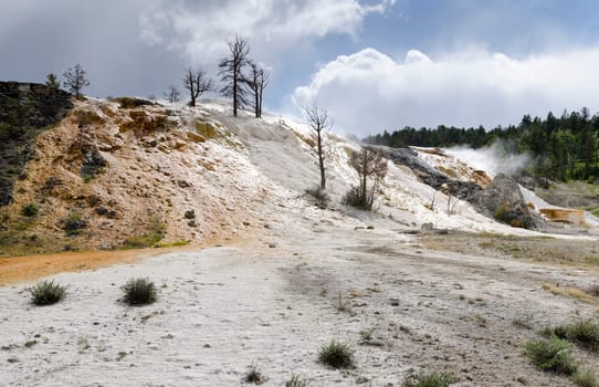 overview of Mammoth Hot Springs in Yellowstone National Park in Wyoming in the United States of America
